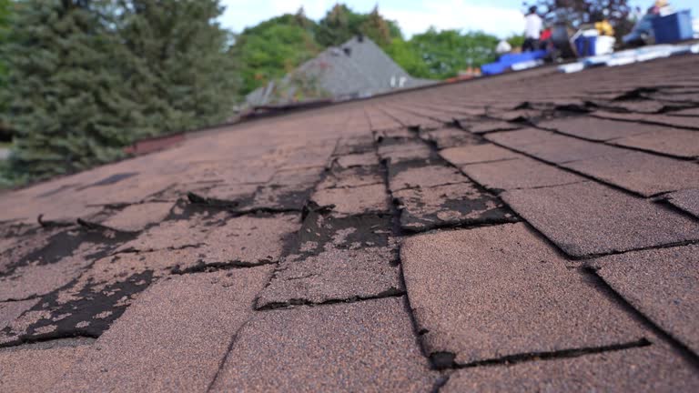 Best Roofing for New Construction  in Bangor Base, WA